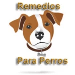 Logo of Remedios Caseros Para Perro android Application 