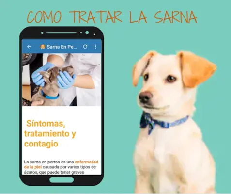 Remedios Caseros Para Perro android App screenshot 0