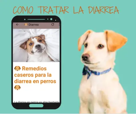 Remedios Caseros Para Perro android App screenshot 1