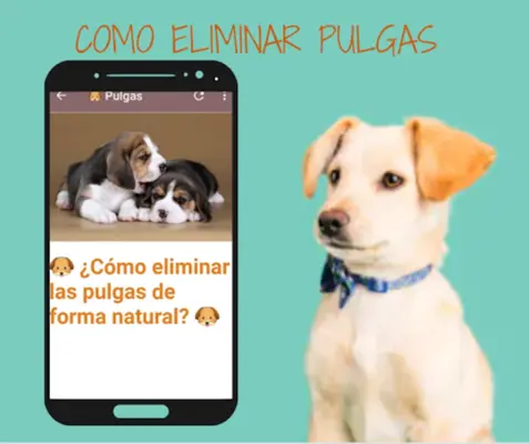 Remedios Caseros Para Perro android App screenshot 2