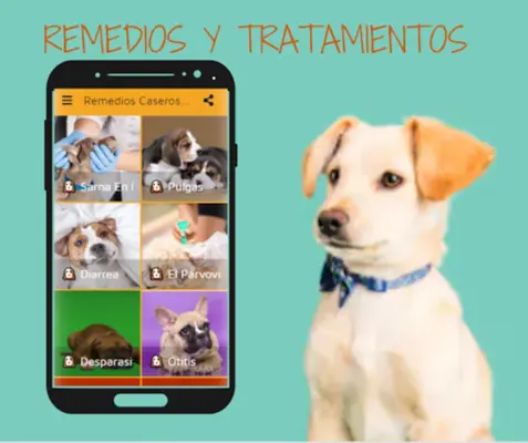 Remedios Caseros Para Perro android App screenshot 3